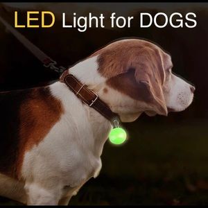 Green Night Light for Dogs Cats Pets NWT